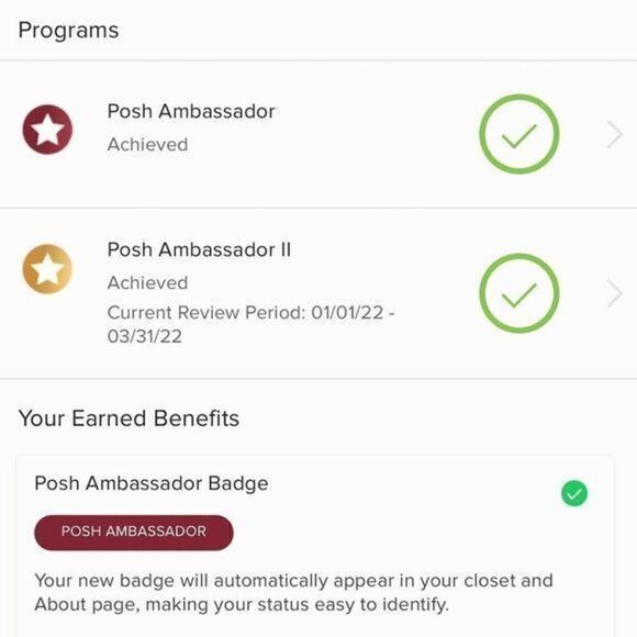 POSH AMBASSADOR II - Picture 2 of 3